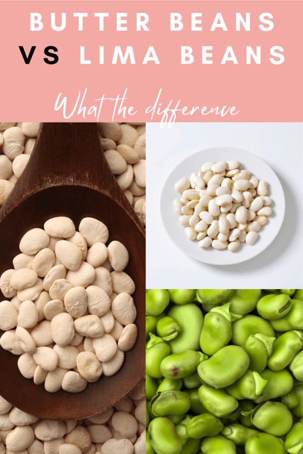 Butter Beans Vs Lima Beans What The Difference Lazy Hunter Food