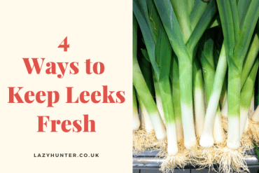 4 Ways to Keep Leeks Fresh