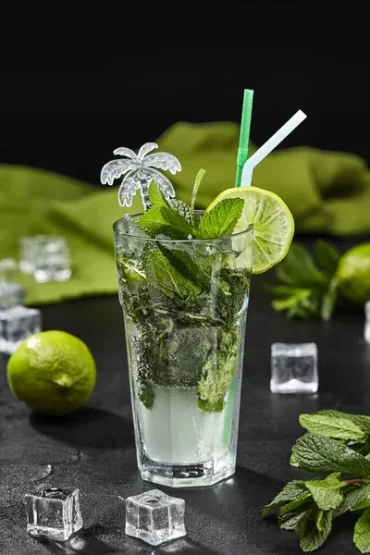 Ginger Mojito Mocktail Recipe
