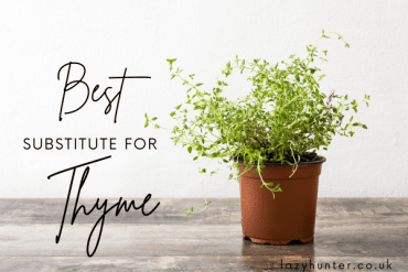 Best Substitute for Thyme