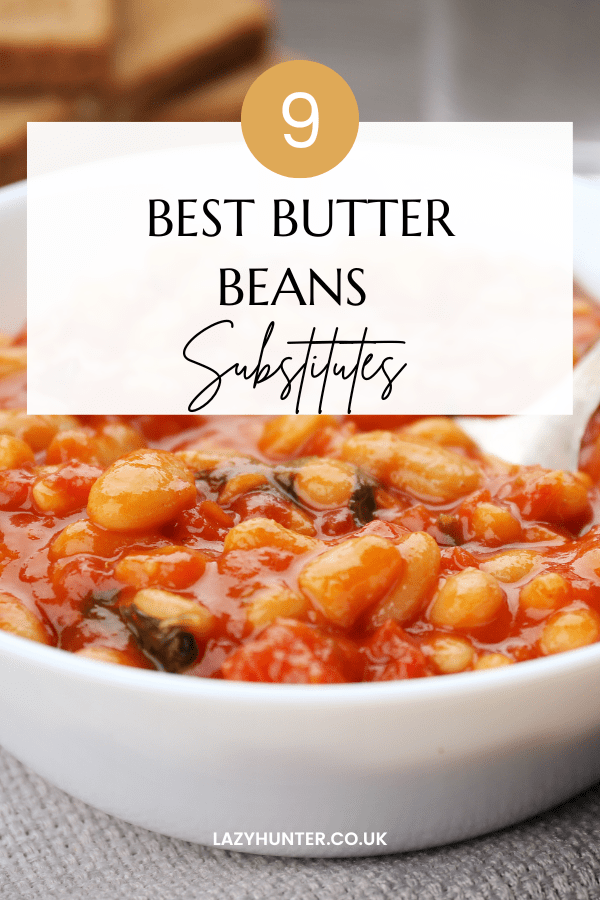 9 Best Butter Beans Substitutes